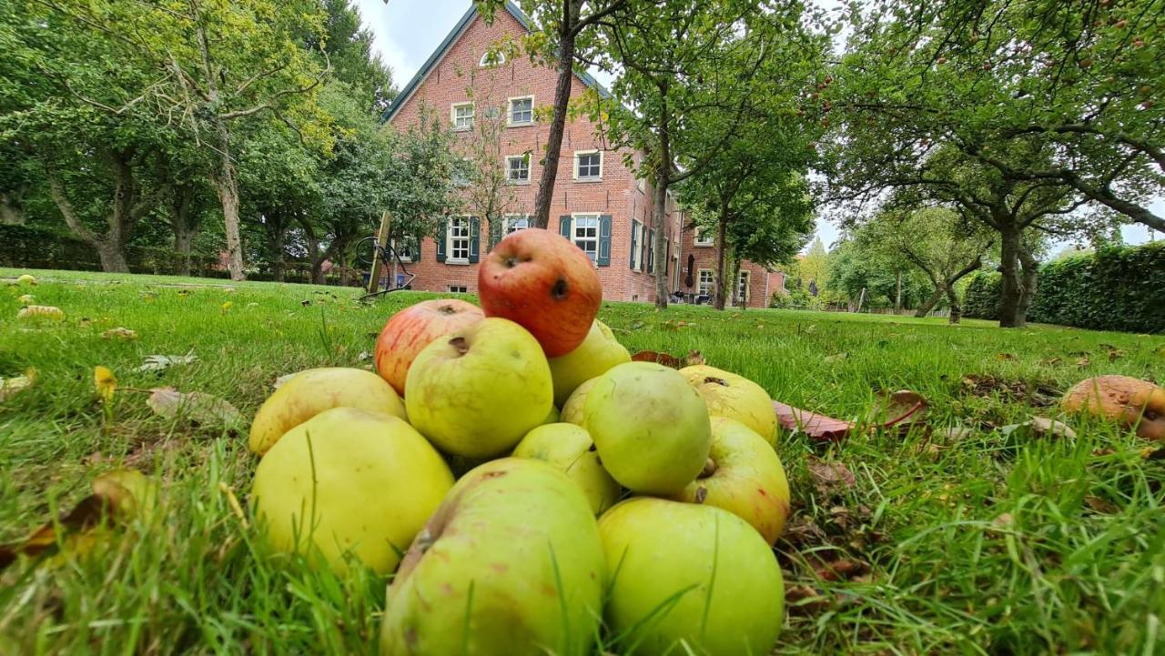 Gulfhof Boomgaarden Boomgaarden 16 Albert Krummhoern Ngoại thất bức ảnh